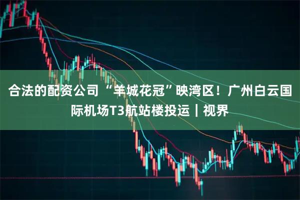 合法的配资公司 “羊城花冠”映湾区！广州白云国际机场T3航站楼投运｜视界