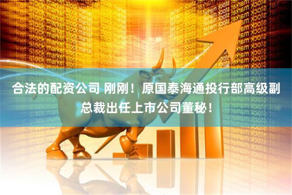 合法的配资公司 刚刚！原国泰海通投行部高级副总裁出任上市公司董秘！
